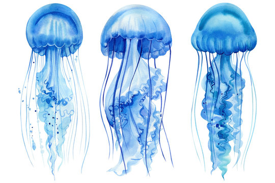 set of beautiful blue jellyfish on an isolated white background, watercolor hand drawing