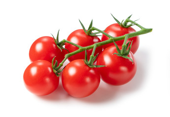 Tomatoes on a white background