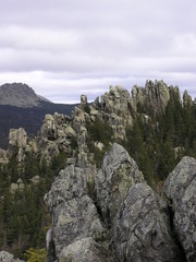 Wild Nature of Russia