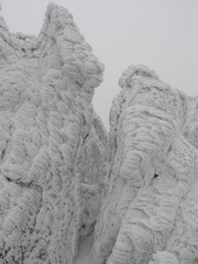 Wild Nature of Russia