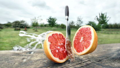 spritzige frische Grapefruit