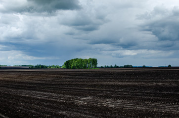 Plowed field in spring day. Black soil plowed field