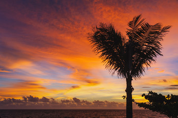 Magical dramatic sunset on a tropical beach.