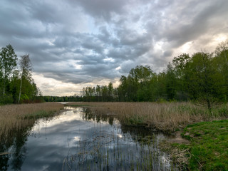 spring landscape with beautiful sky, clouds and tree reflections in the water