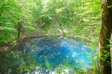 十二湖　白神山地　青池
