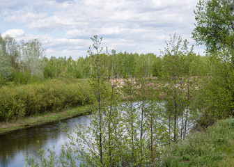 Obraz premium Nature summer, Ukraine. River and sandy steep shore, trees around the shore, landscape. Snow River, Ukraine