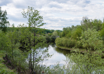 Nature summer, Ukraine. River and sandy steep shore, trees around the shore, landscape. Snow River, Ukraine