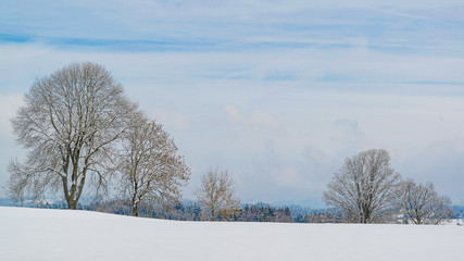 Fototapeta na wymiar Jour d'hiver enneigé dans la campagne de France