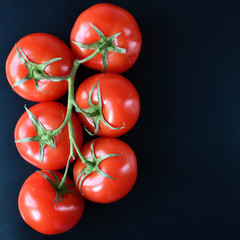Tomato on branch top view