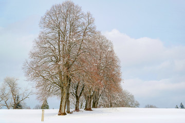 Jour d'hiver enneigé dans la campagne de France