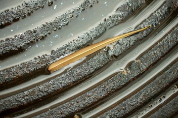 Rust on the old manhole cover