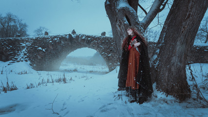woman warrior in a medieval, fantasy costume, with weapons walking old Park, stone bridge in the winter. Winter is coming.