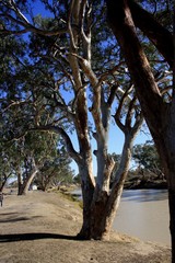 Cooper River, Outback Australia.