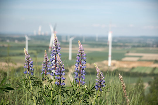 Energiewende in Deutschland Kohlekraftwerk und Windräder