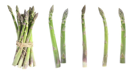 Set of fresh raw asparagus on white background