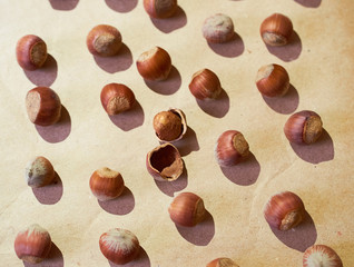Hazelnut pattern on a brown background