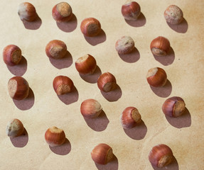 Hazelnut pattern on a brown background