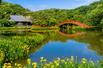 金沢八景・称名寺の庭園