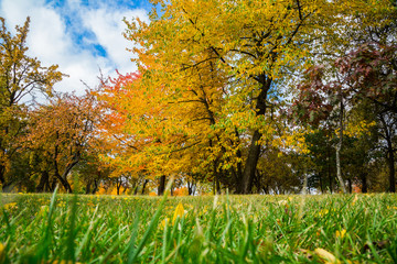Autumn city park