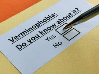 Obraz premium One person is answering question about verminophobia.
