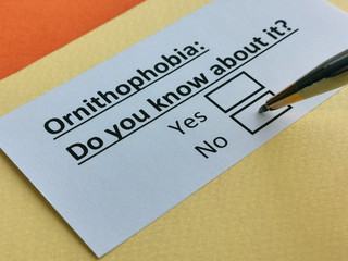 Fototapeta premium One person is answering question about ornithophobia.