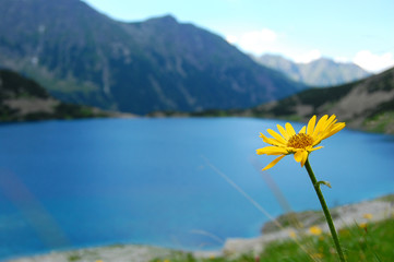 black pond - tatry, Poland