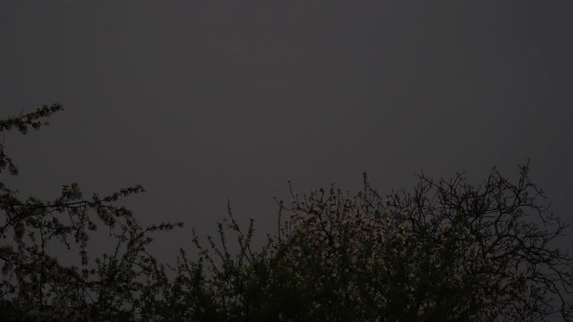 Slow motion of lightning in the evening sky during the rain at springtime. 