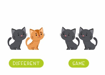 Childish word card with animals vector template. Educational flash card for english language. Opposites, diversity concept, same and different. Cute little kittens flat illustration with typography