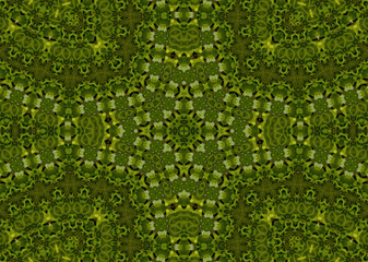 Fractal background
