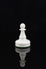 Single chess piece