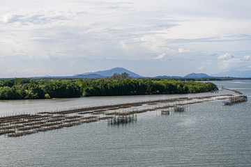 Oyster and shell farm