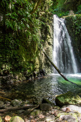 walk and discover the prego salto waterfall on the island of sao miguel, azores