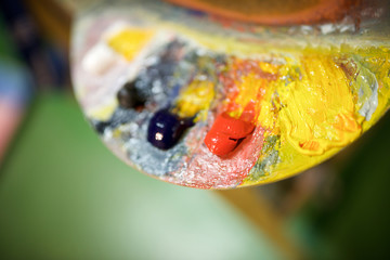 Close-up of a painter's palette.