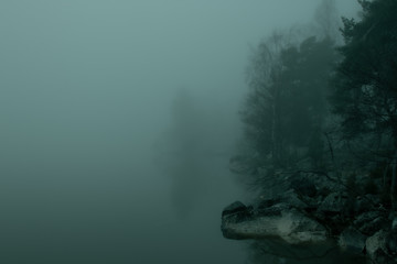 Fototapeta na wymiar misty evening by the lake