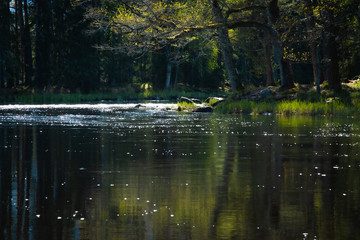 Fototapeta premium Spring time by the river