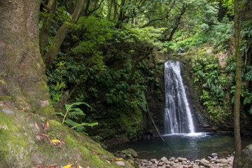 Fototapeta na wymiar walk and discover the prego salto waterfall on the island of sao miguel, azores