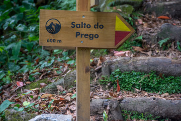 walk and discover the prego salto waterfall on the island of sao miguel, azores