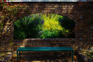 Obraz premium レンギョウの咲く春の庭