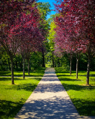 follow the path