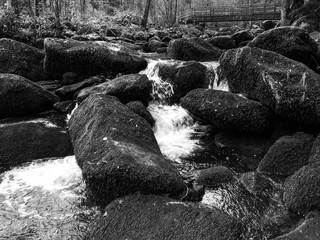 Schwarz-weiß-Aufnahme der Saussbachklamm im Bayerischen Wald im Spätherbst