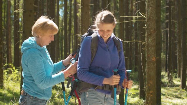Two women hiking in the coniferous forest at sunny spring day. Trekking in the forest, active and healthy lifestyle concept