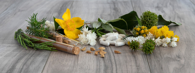 Plant-based preparation for self-healing