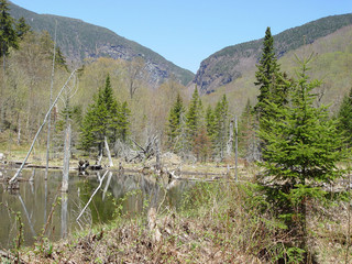 Smugglers Notch in May in Vermont