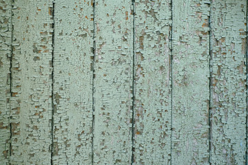 peeling pale green paint abstract texture