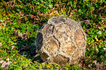 Old, totally worn out soccer ball or football