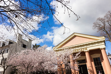 Spring view of the historic Greek Revival architecture of the Anthenaeum including cherry blossoms,...