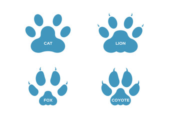 paw and Animals footprints / cat lion fox coyote