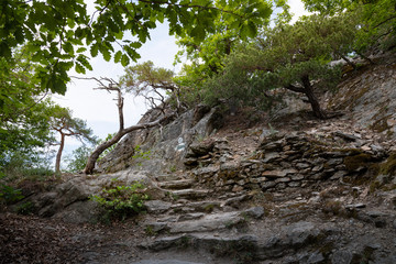 Welterbesteig Wachau Ruinenweg 