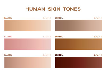 skin tone color infographic / gradient