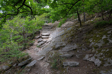 Welterbesteig Wachau Ruinenweg Dürnstein